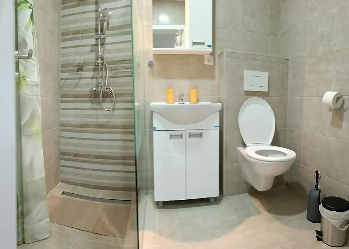 Sara S Apartment Veliko Gradište