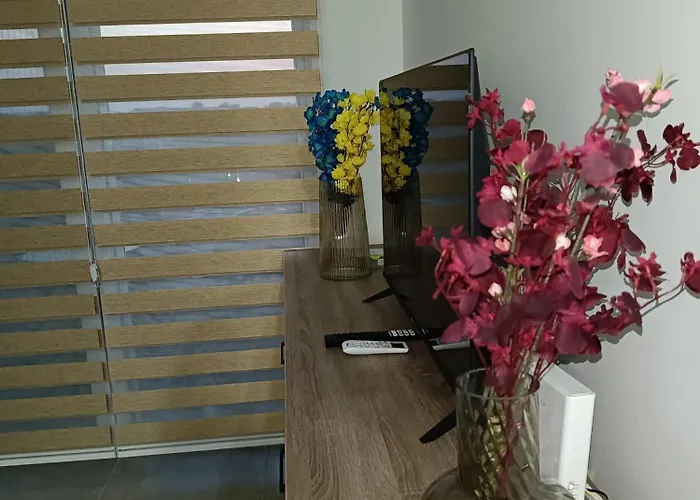 Sara S * Veliko Gradište